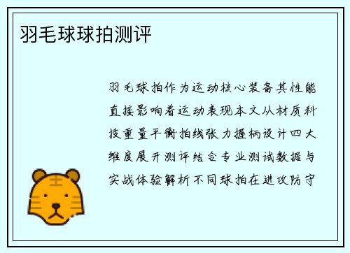 羽毛球球拍测评