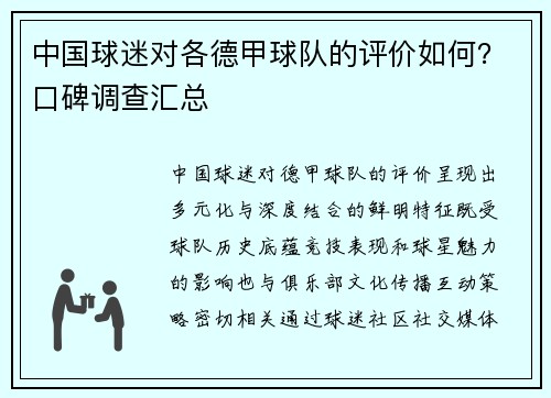 中国球迷对各德甲球队的评价如何？口碑调查汇总